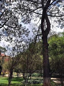 Kunming - Universite du Yunnan (45)
